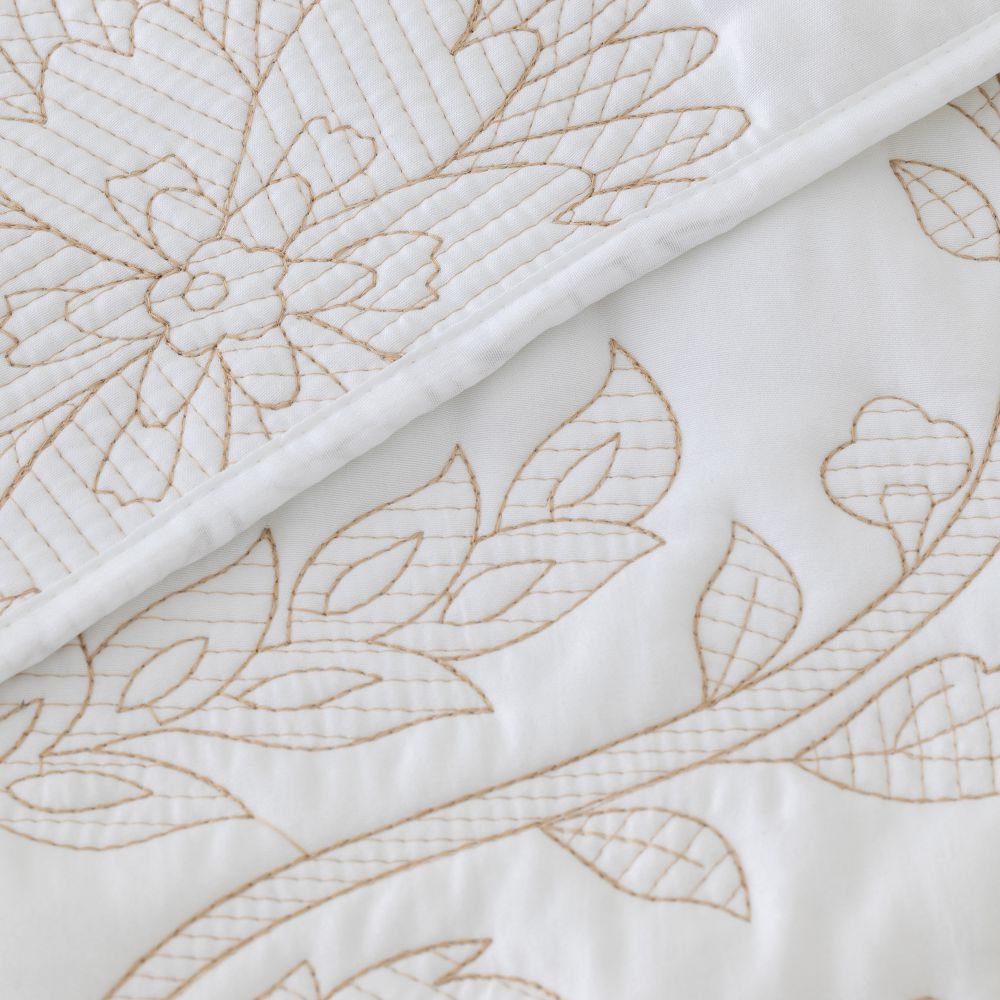 כ.מיטה פאולין