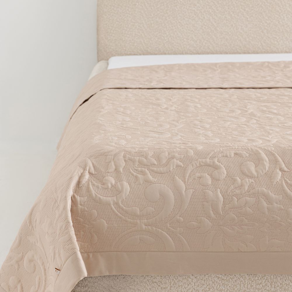 כ.מיטה ויולה