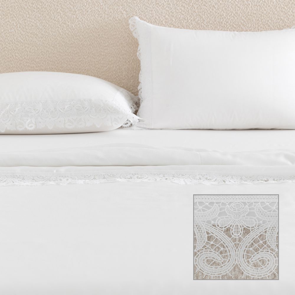 ציפה טנסל קת’רין