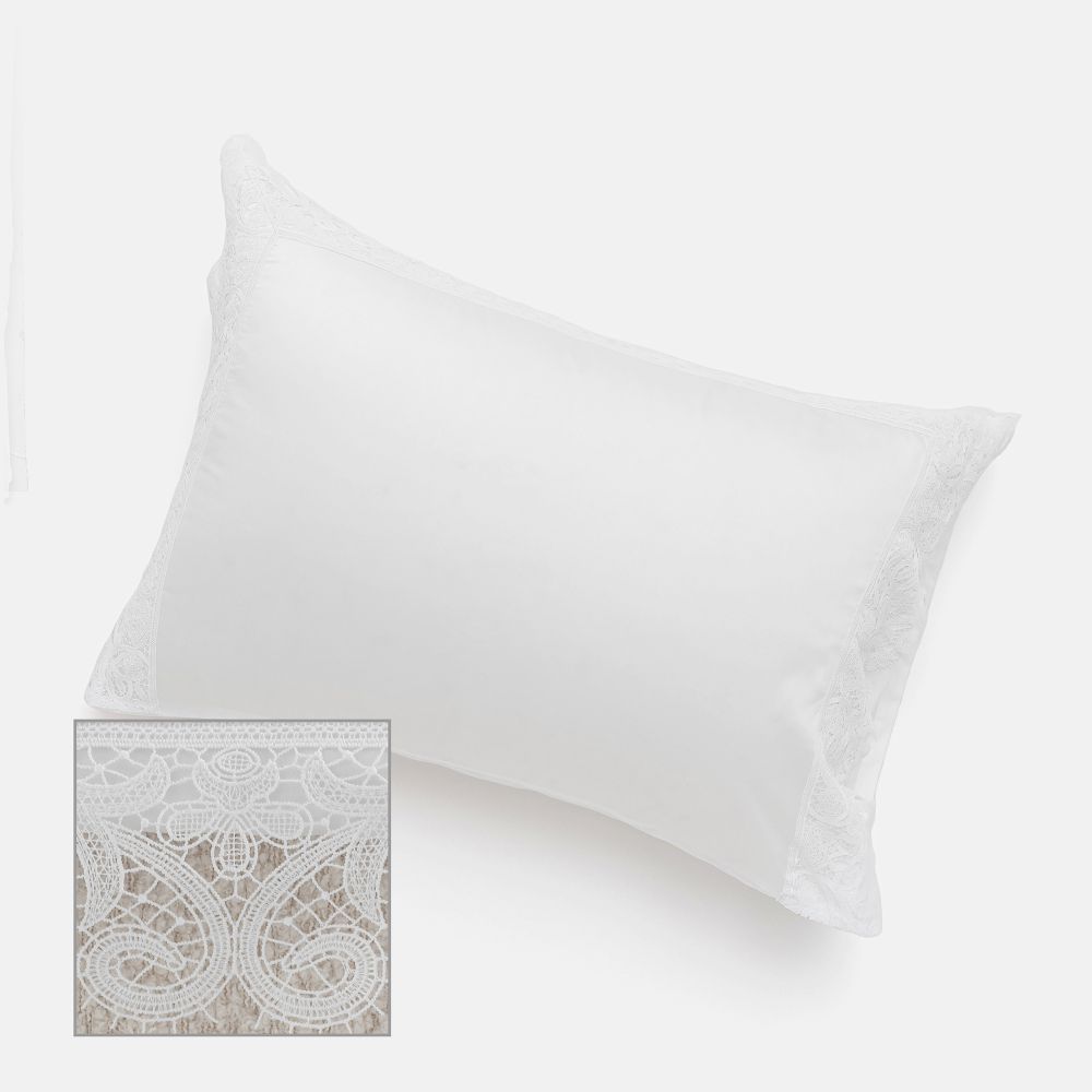 ציפית טנסל קת’רין