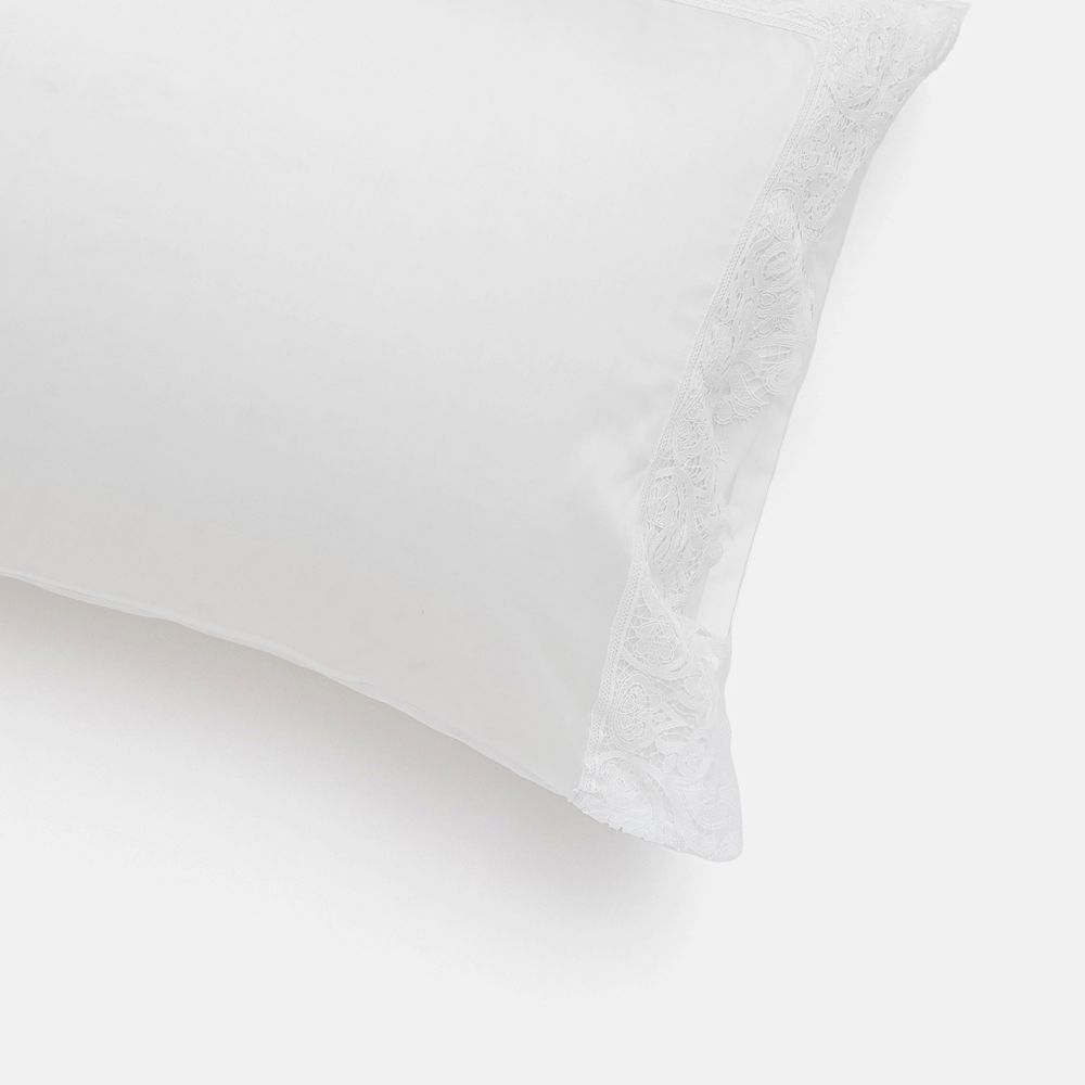 ציפית טנסל קת’רין