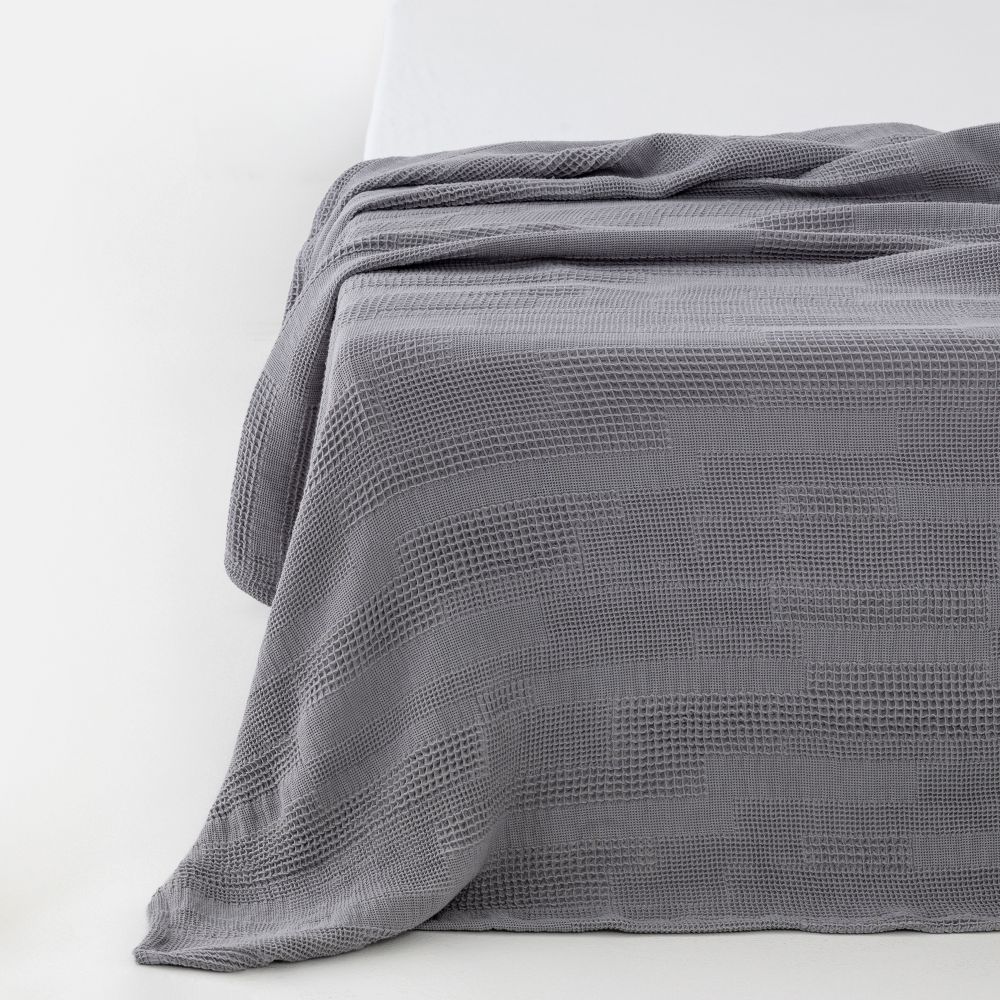 כירבולית ניל