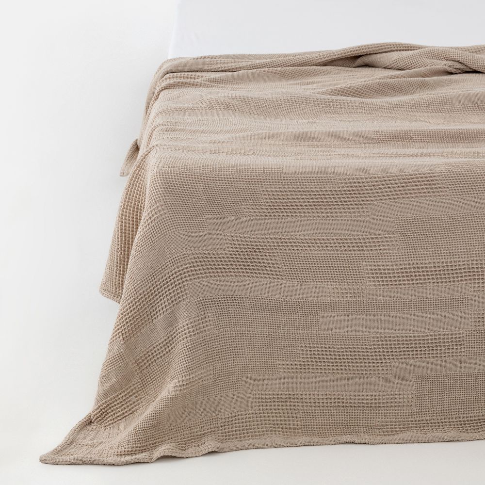 כירבולית ניל