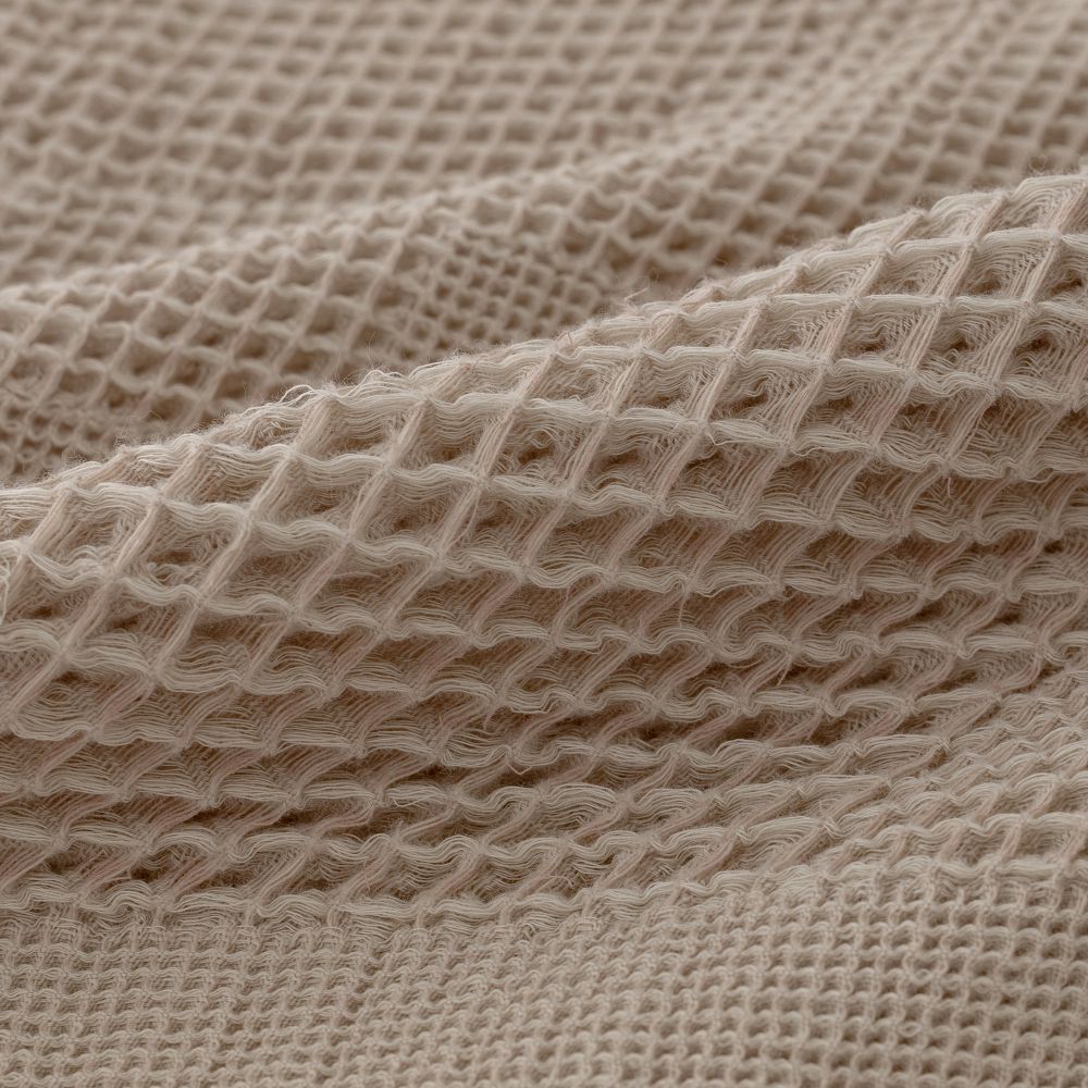 כירבולית ניל