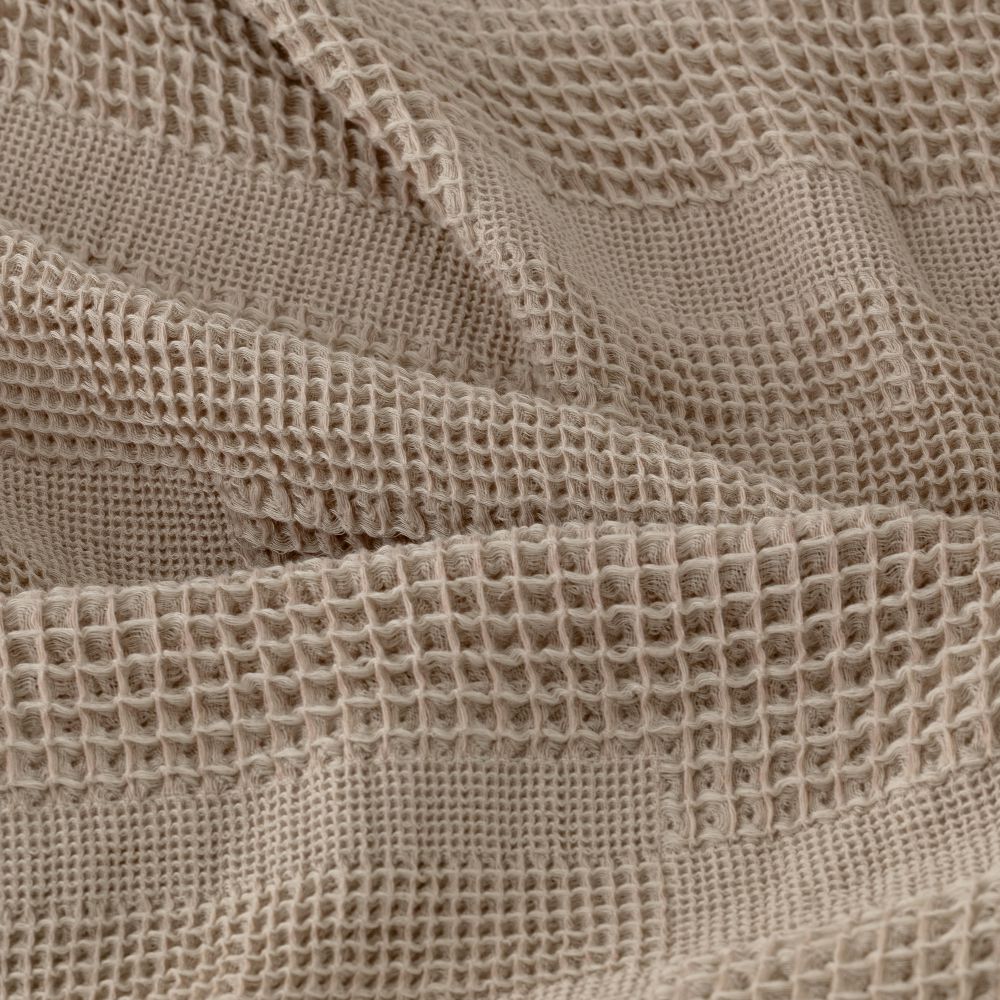 כירבולית ניל