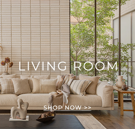 סלון ואווירה